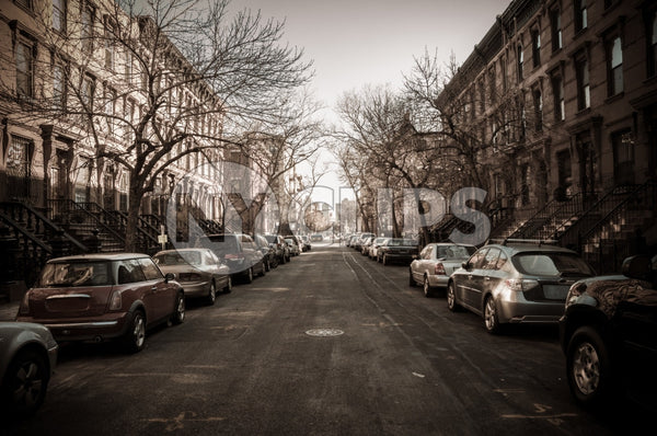treelined street in winter with bare trees in Harlem - cars parked on quiet block