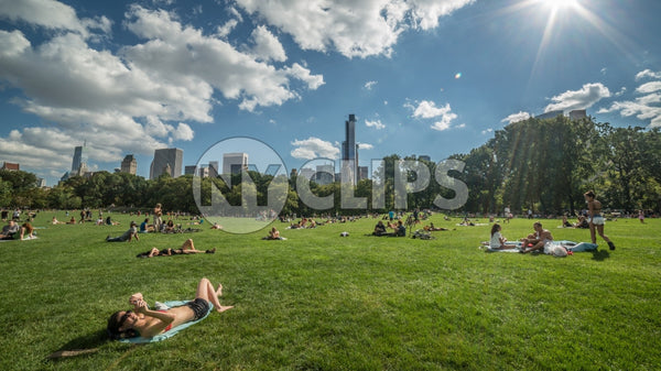 Central Park on beautiful summer day - people sunbathing on green grass
