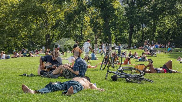 Central Park in summer - people laying on grass sunbathing on sunny day