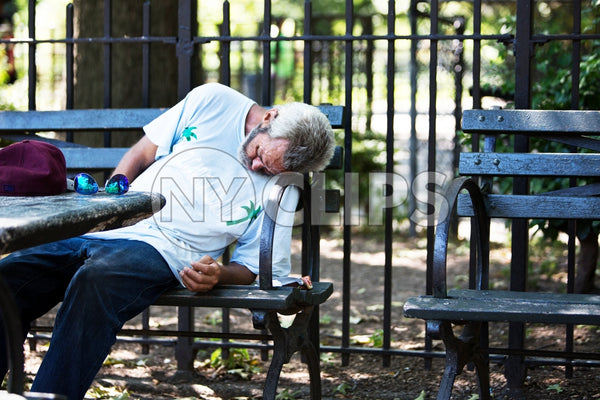 man asleep on park bench in New York City