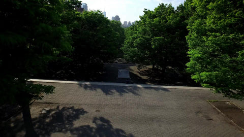aerial over trees in Brooklyn on bright sunny day with Manhattan skyline in background - summer in NYC