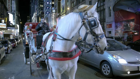 horse-drawn carriage with man on smartphone, texting on 42nd street off Times Square at night in NYC