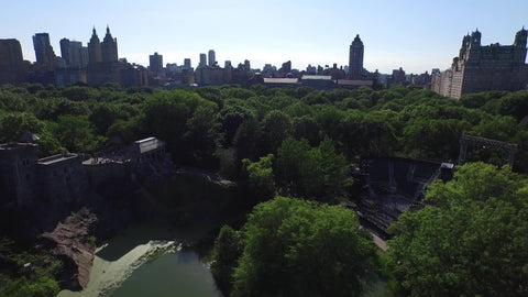 Central Park over trees and pond