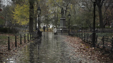 woman walking in Washington Square Park on wet rainy day - raining in fall