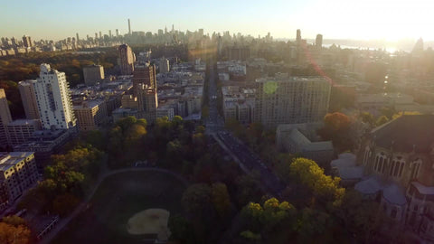 Uptown Manhattan trees from aerial view with skyline in background at sunset in NYC