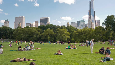 people laying out on grass in Central Park on summer day