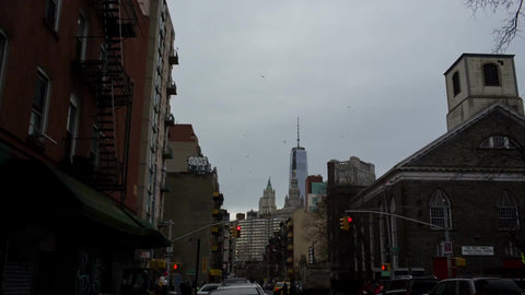 birds flying over cloudy sky in Chinatown on fall day