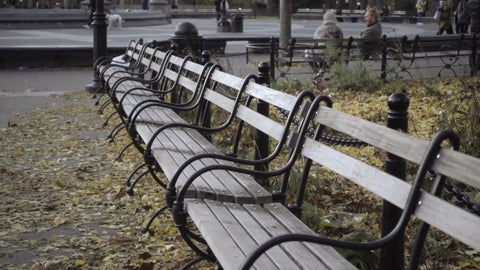 beautiful park scene with couple sitting on benches in background in Washington Square Park on fall day with leaves on ground