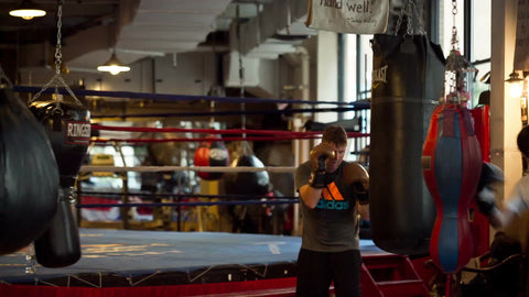 boxers training in gym