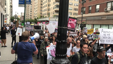 man with bullhorn protesting animal cruelty at vegan protest in New York City