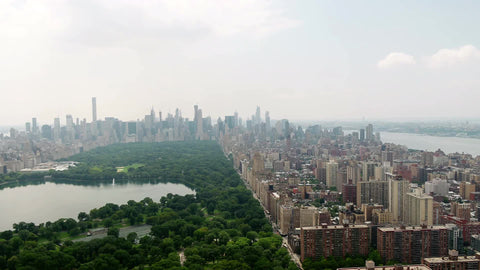 Central Park rising over green and buildings aerial NYC