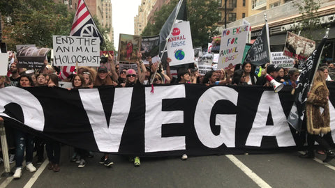 go vegan sign and set them free chant at animal rights protest in New York City