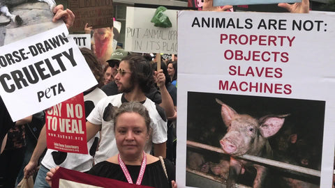 animal rights now chant at vegan protest in New York City