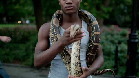 kid with Boa constrictor snake on summer day in Washington Square Park in NYC