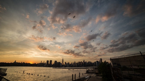 Manhattan skyline silhouette with birds flying in beautiful orange sunset sky in early evening over East River water in NYC