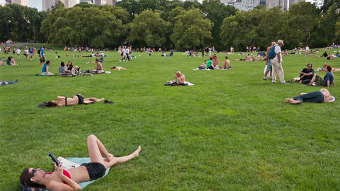 people lying on grass in Central Park on summer day - tilting up to skyscrapers over trees
