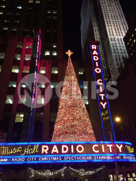 Christmas tree on Radio City Music Hall at night