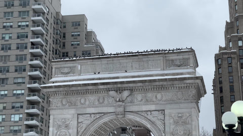 pigeons perched on Washington Square Park arch in New York City