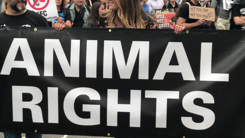 animal rights sign and go vegan audio at protest in New York City