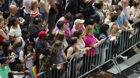 Gay Pride supporters behind barricade on summer day at LGBT Parade in NYC