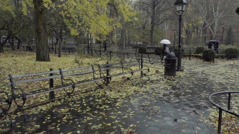 fall rainy day in Washington Square Park - yellow leaves on ground - raining on benches