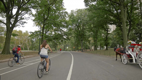 horse-drawn carriage, bicyclists in Central Park - people on bicycles in NYC on summer day