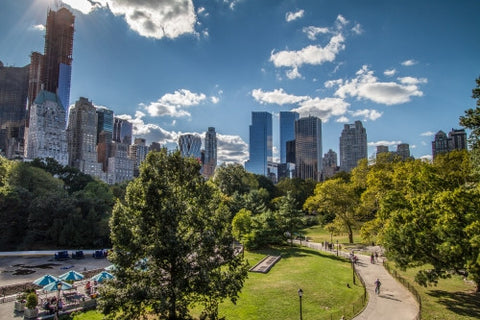 Central Park on bright sunny day with midtown buildings and skyscrapers in background in Manhattan