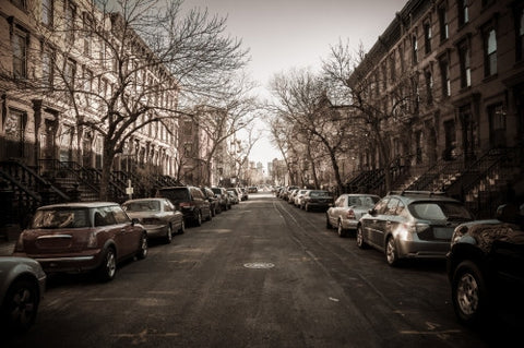 treelined street in winter with bare trees in Harlem - cars parked on quiet block