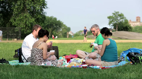 people having picnic in Central Park on summer day - 4 friends playing cards and eating on green grass in 1080 HD