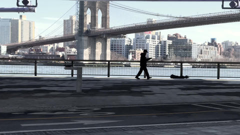 silhouette of man walking under FDR Drive Brooklyn Bridge view East River Manhattan New York City NYC