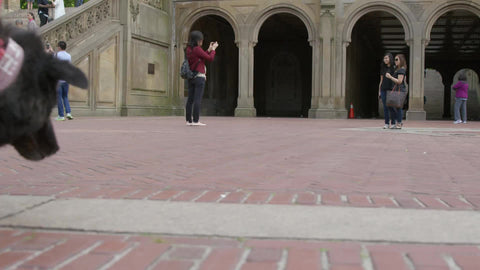 man walking dog and tourist taking picture of friends in Central Park outside Bethesda Terrace arches in slow motion