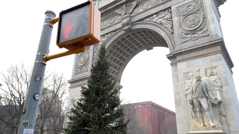 winter in Manhattan - Washington Square arch with Christmas tree - empty park New York City