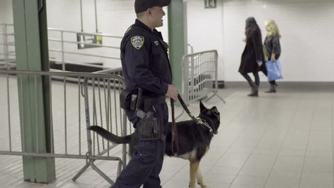 cop with police dog in subway station - NYPD in New York City