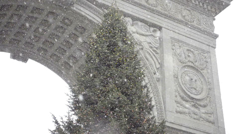 Christmas tree - snowing in Washington Square Park winter holidays NYC