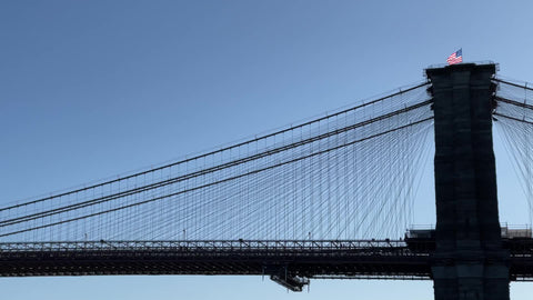 seagull flying in front of Brooklyn Bridge American flag New York City NYC