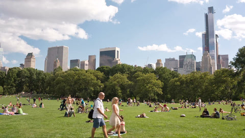 bright sunny day in Central Park - people on grass in summer