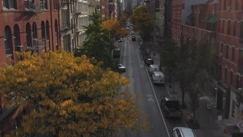 aerial of SoHo street tilting up to Freedom Tower on bright sunny fall day colorful trees in Manhattan New York City NYC