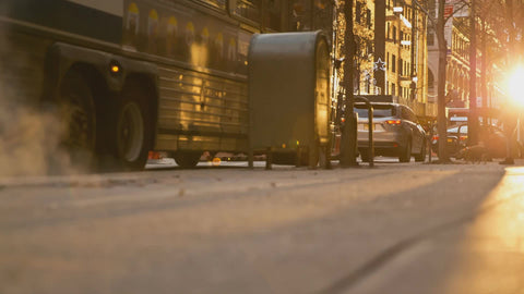 dog on leash on street in early morning winter New York City NYC