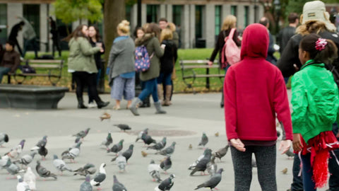 children playing with pigeons in Washington Square Park in fall - birds flocking
