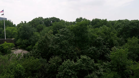 Central Park aerial rising over trees to skyscrapers in NYC