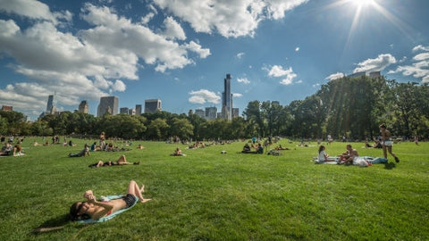 Central Park on beautiful summer day - people sunbathing on green grass