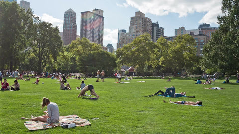 people on towels in Central Park grass in summer