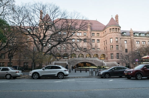 Museum of Natural History - side entrance to Planetarium