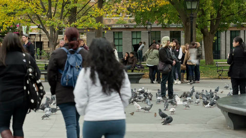 children running to flock of pigeons in Washington Square Park on beautiful fall day in New York City