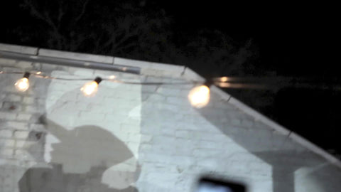 Rakim legendary hip hop legend rapper rapping before audience at show