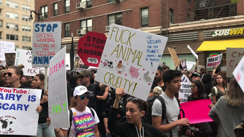 not ours and no excuse for animal abuse at vegan protest in New York City