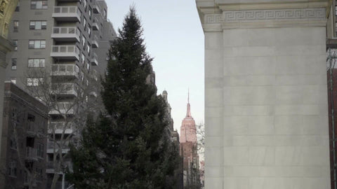 zooming out from Empire State Building view and Christmas Tree under Washington Square Park on winter day in early evening