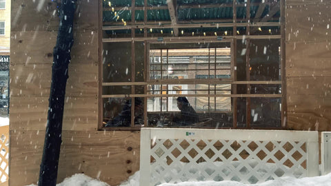 couple eating in restaurant outdoor dining seated in enclosure snowing in winter New York City NYC