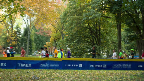 colorful scene with Marathon runners in beautiful Central Park spring with changing leaves 1080 HD in NYC