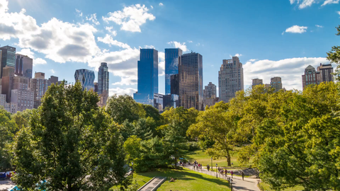 Manhattan Skyscrapers over Central Park trees on bright sunny day in timelapse in 4K and 1080 HD in NYC